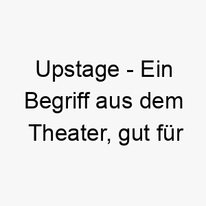 upstage ein begriff aus dem theater gut fuer einen hund der gerne im mittelpunkt steht 26831