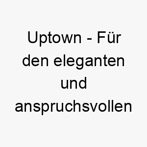 uptown fuer den eleganten und anspruchsvollen hund 26854