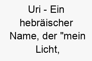 uri ein hebraeischer name der mein licht meine flamme bedeutet fuer den hund der ihre welt erhellt 26774