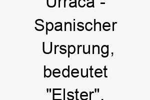 urraca spanischer ursprung bedeutet elster 9755