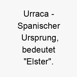 urraca spanischer ursprung bedeutet elster 9755