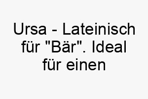 ursa lateinisch fuer baer ideal fuer einen grossen kuscheligen hund 2 26787