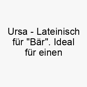 ursa lateinisch fuer baer ideal fuer einen grossen kuscheligen hund 2 26787