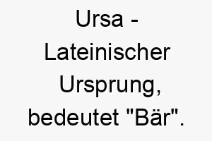 ursa lateinischer ursprung bedeutet baer 9625 2