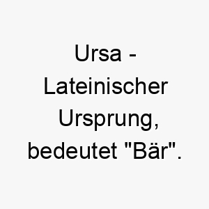 ursa lateinischer ursprung bedeutet baer 9625 2