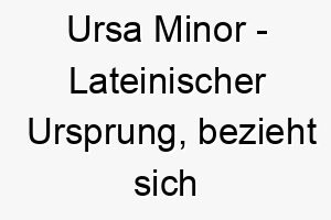 ursa minor lateinischer ursprung bezieht sich auf das sternbild kleiner baer 9667
