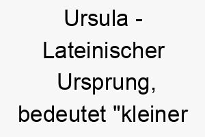 ursula lateinischer ursprung bedeutet kleiner baer 9651 2