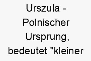 urszula polnischer ursprung bedeutet kleiner baer 9756