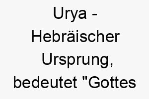 urya hebraeischer ursprung bedeutet gottes licht 9711