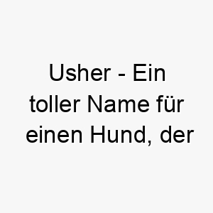 usher ein toller name fuer einen hund der gerne menschen oder andere tiere herumfuehrt 26800