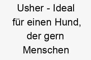 usher ideal fuer einen hund der gern menschen oder andere tiere herumfuehrt 26860