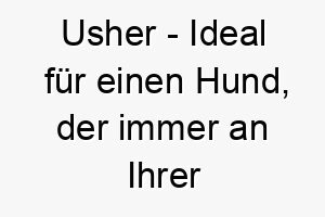 usher ideal fuer einen hund der immer an ihrer seite ist und sie von raum zu raum begleitet 26777