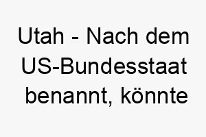 utah nach dem us bundesstaat benannt koennte dies ein toller name fuer einen hund sein der gerne im freien ist 26779