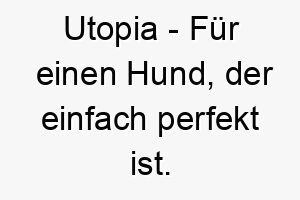 utopia fuer einen hund der einfach perfekt ist 26866