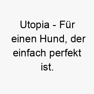 utopia fuer einen hund der einfach perfekt ist 26866