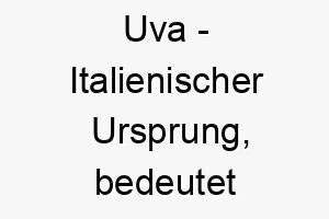 uva italienischer ursprung bedeutet weintraube 9676