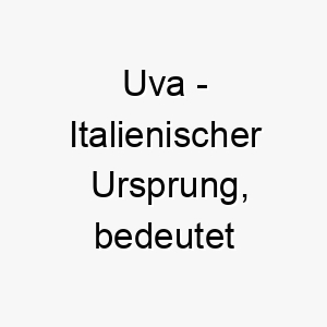 uva italienischer ursprung bedeutet weintraube 9676