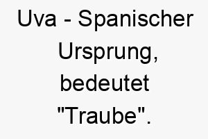 uva spanischer ursprung bedeutet traube 9639