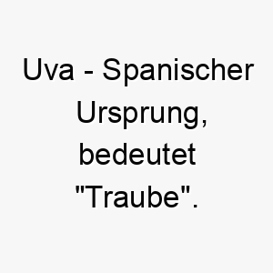 uva spanischer ursprung bedeutet traube 9639