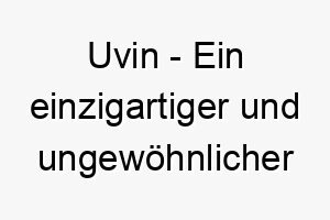 uvin ein einzigartiger und ungewoehnlicher name passend fuer einen hund mit einem einzigartigen charakter 26884