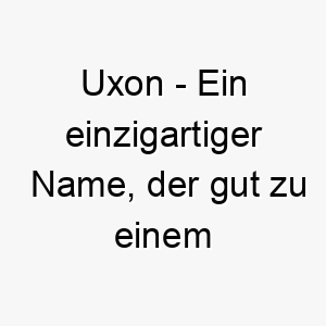 uxon ein einzigartiger name der gut zu einem aussergewoehnlichen hund passt 26889