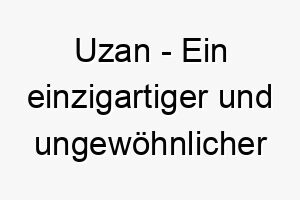 uzan ein einzigartiger und ungewoehnlicher name ideal fuer einen hund der sich abhebt 26897