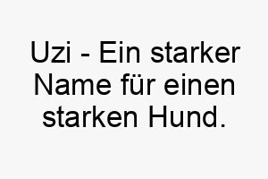 uzi ein starker name fuer einen starken hund 26858