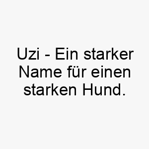 uzi ein starker name fuer einen starken hund 26858