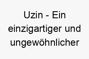 uzin ein einzigartiger und ungewoehnlicher name ideal fuer einen hund der sich von der masse abhebt 26895