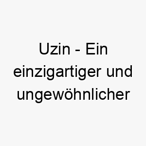 uzin ein einzigartiger und ungewoehnlicher name ideal fuer einen hund der sich von der masse abhebt 26895