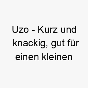 uzo kurz und knackig gut fuer einen kleinen hund 26808