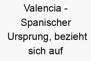 valencia spanischer ursprung bezieht sich auf eine stadt in spanien bedeutet staerke tapferkeit 10015 1