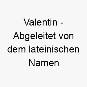 valentin abgeleitet von dem lateinischen namen valentinus bedeutet gesund stark als hundename kann er zuneigung und staerke repraesentieren 26898