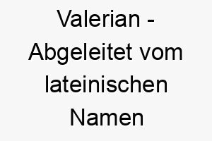 valerian abgeleitet vom lateinischen namen valerianus bedeutet stark gesund ein guter name fuer einen starken robusten hund 27203