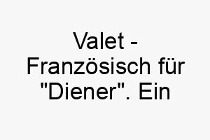 valet franzoesisch fuer diener ein geeigneter name fuer einen gehorsamen dienstbereiten hund 27218