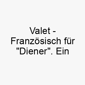 valet franzoesisch fuer diener ein geeigneter name fuer einen gehorsamen dienstbereiten hund 27218