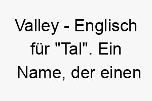 valley englisch fuer tal ein name der einen ruhigen und friedlichen hund darstellen koennte 27212