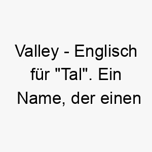 valley englisch fuer tal ein name der einen ruhigen und friedlichen hund darstellen koennte 27212