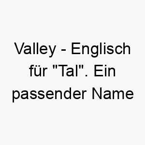 valley englisch fuer tal ein passender name fuer einen ruhigen und friedlichen hund 27189