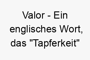 valor ein englisches wort das tapferkeit oder mut bedeutet ein toller name fuer einen mutigen heldenhaften hund 27186