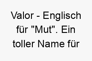 valor englisch fuer mut ein toller name fuer einen mutigen tapferen hund 27232