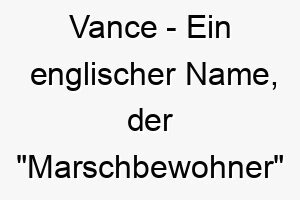 vance ein englischer name der marschbewohner bedeutet ein guter name fuer einen abenteurer oder wanderer hund 26909