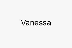 vanessa 10016 1