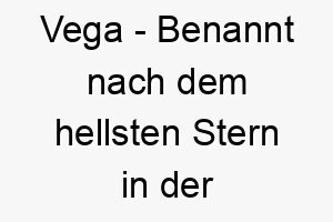 vega benannt nach dem hellsten stern in der lyra konstellation es koennte einen hund repraesentieren der in deinem leben leuchtet 26902