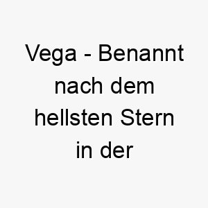 vega benannt nach dem hellsten stern in der lyra konstellation es koennte einen hund repraesentieren der in deinem leben leuchtet 26902