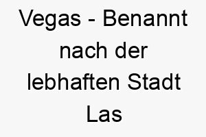 vegas benannt nach der lebhaften stadt las vegas in den usa ein passender name fuer einen lebhaften aufregenden hund 27201