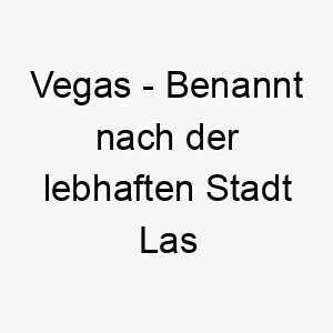 vegas benannt nach der lebhaften stadt las vegas in den usa ein passender name fuer einen lebhaften aufregenden hund 27201