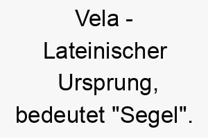 vela lateinischer ursprung bedeutet segel 10049 1