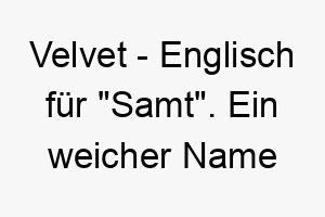 velvet englisch fuer samt ein weicher name fuer einen hund mit samtweichem fell 27246