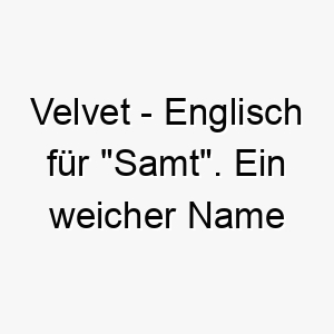 velvet englisch fuer samt ein weicher name fuer einen hund mit samtweichem fell 27246